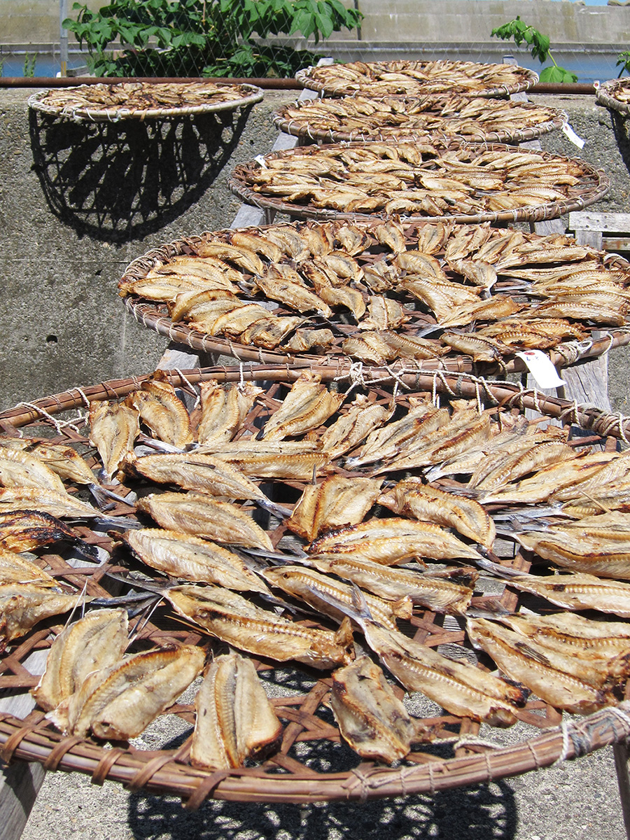 合同会社とびしま Blog Archive トビウオ漁 焼き干し 合同会社とびしま Blog Archive トビウオ漁 焼き干し